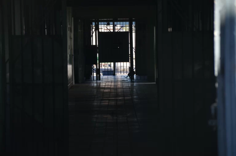 Violencias machistas, cárcel y pandemia