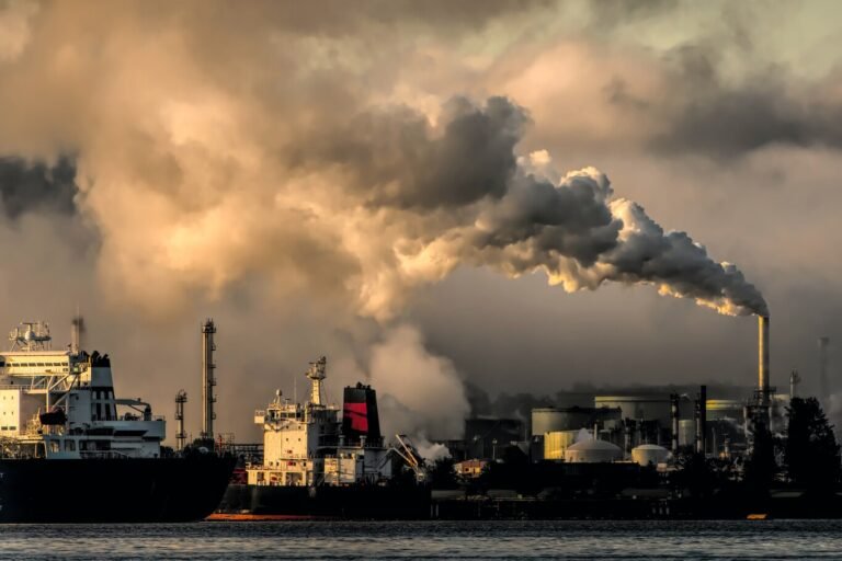 Crisis energética mundial: “Hay que pasar el invierno”